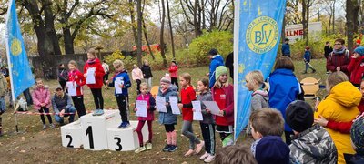 Foto des Albums: LM Crosslauf Berlin, 13.11.2022