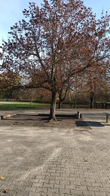 Foto des Albums: Herbstputz 2022