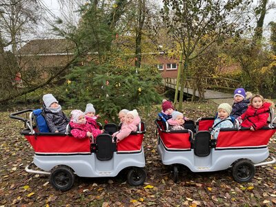 Foto des Albums: Adventszeit