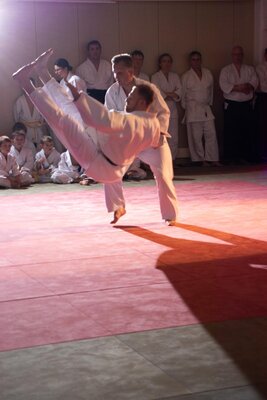 Foto des Albums: Budo-Gala zum 35-jährigen Jubiläum +1 des JVU
