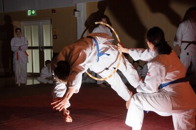 Foto des Albums: Budo-Gala zum 35-jährigen Jubiläum +1 des JVU
