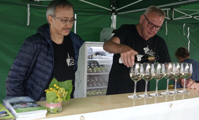 Foto des Albums: Weinblütenfest 2021