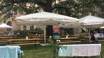 Foto des Albums: Weinfest 2020