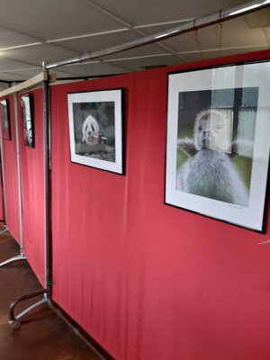 Foto des Albums: Herbstffest zwischen Sportlerheim und Mineralienhof