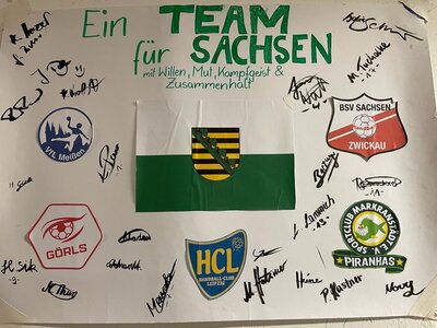 Unser Team aus ganz Sachsen. Quelle: HVS 