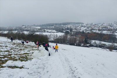Foto des Albums: Ausflug in den Schnee