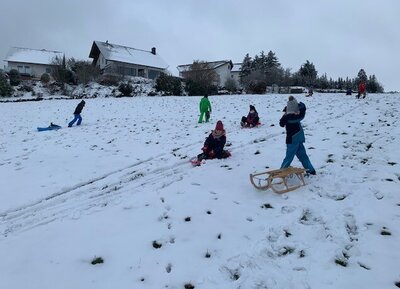 Foto des Albums: Ausflug in den Schnee