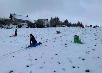 Foto des Albums: Ausflug in den Schnee