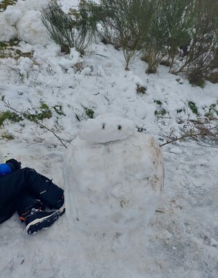 Foto des Albums: Ausflug in den Schnee