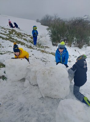 Foto des Albums: Ausflug in den Schnee