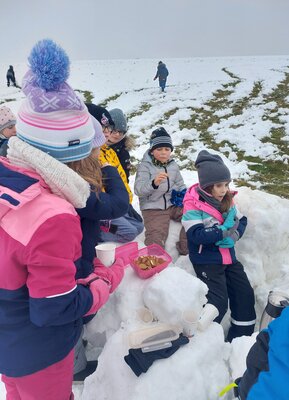 Foto des Albums: Ausflug in den Schnee