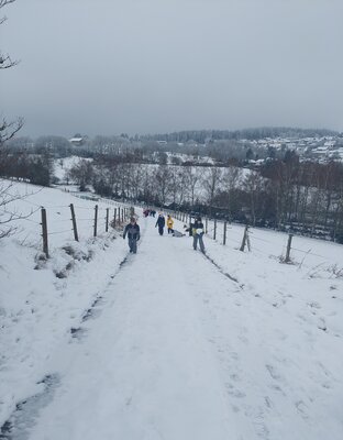 Foto des Albums: Ausflug in den Schnee