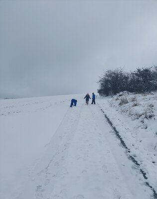 Foto des Albums: Ausflug in den Schnee
