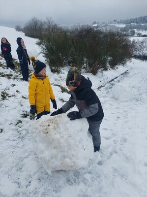 Foto des Albums: Ausflug in den Schnee