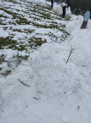 Foto des Albums: Ausflug in den Schnee