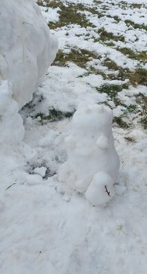 Foto des Albums: Ausflug in den Schnee