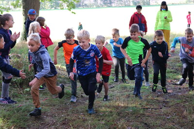 Foto des Albums: Crosslauf 2022