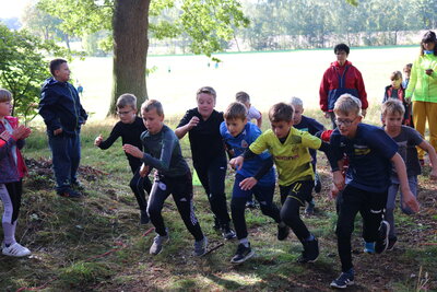 Foto des Albums: Crosslauf 2022