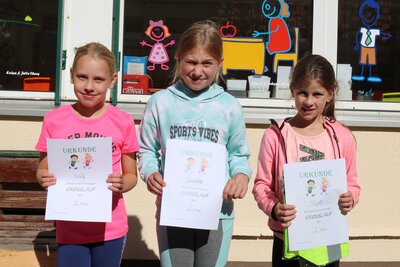 Foto des Albums: Crosslauf 2022