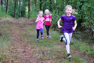 Foto des Albums: Crosslauf 2022