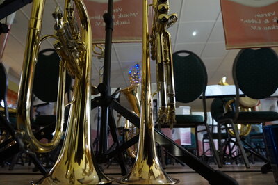 Foto des Albums: Neujahrskonzert des Orchesters 