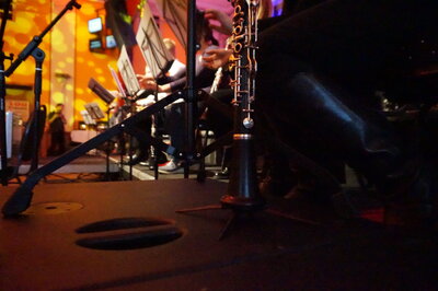 Foto des Albums: Neujahrskonzert des Orchesters 