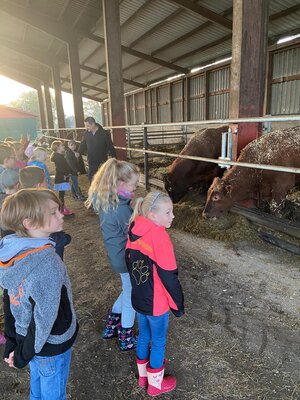 Foto des Albums: Besuch auf dem Bauernhof