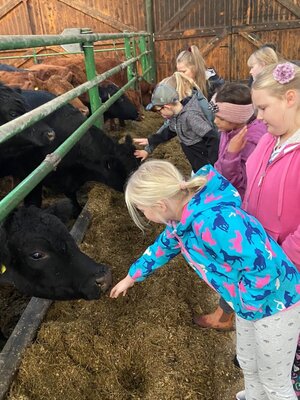 Foto des Albums: Besuch auf dem Bauernhof