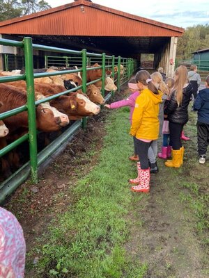 Foto des Albums: Besuch auf dem Bauernhof
