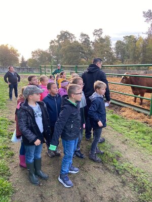 Foto des Albums: Besuch auf dem Bauernhof