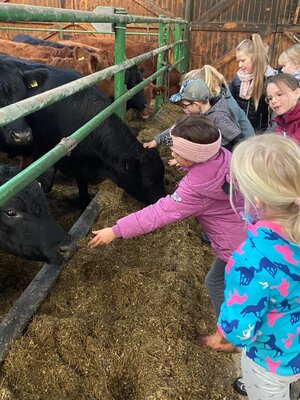 Foto des Albums: Besuch auf dem Bauernhof