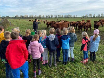 Foto des Albums: Besuch auf dem Bauernhof