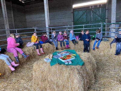 Foto des Albums: Besuch auf dem Bauernhof