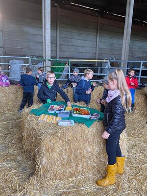 Foto des Albums: Besuch auf dem Bauernhof