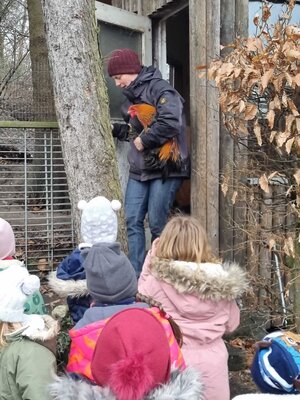Foto des Albums: Tagesausflug der Ganztagsgruppe