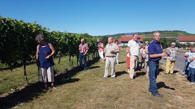 Wein - Fachberatung  (Bild vergr&ouml;&szlig;ern)