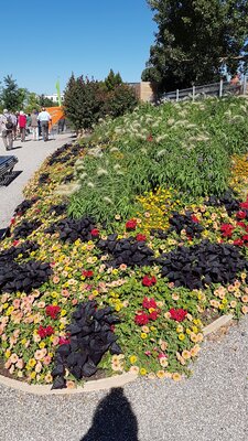 Foto des Albums: Würzburg BUGA