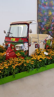 Foto des Albums: Würzburg BUGA