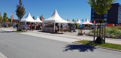Foto des Albums: Würzburg BUGA