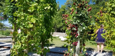 Foto des Albums: Würzburg BUGA