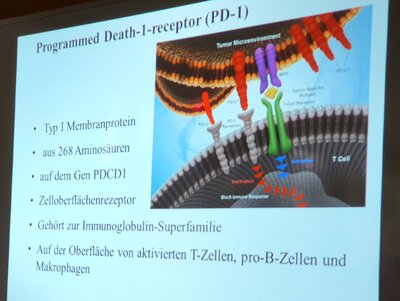 Foto des Albums: Histologie erklärt! Zell- und Gewebeproben wichtig zur Klärung einer Krebsdiagnostik und Therapie
