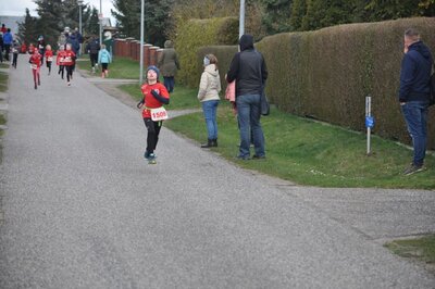 Foto des Albums: Jamikower Frühlingslauf 02.04.2023