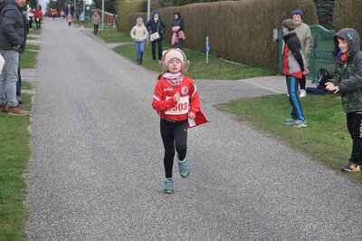 Foto des Albums: Jamikower Frühlingslauf 02.04.2023