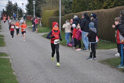 Foto des Albums: Jamikower Frühlingslauf 02.04.2023