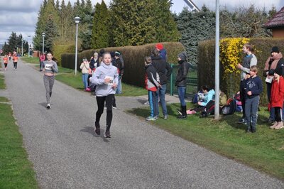 Foto des Albums: Jamikower Frühlingslauf 02.04.2023
