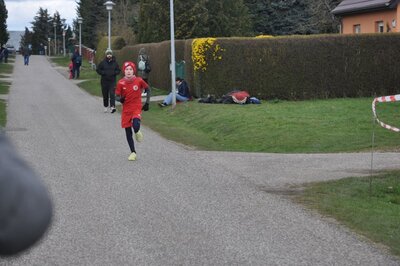 Foto des Albums: Jamikower Frühlingslauf 02.04.2023