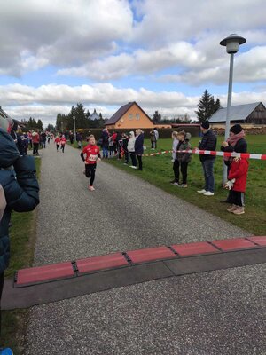 Foto des Albums: Jamikower Frühlingslauf 02.04.2023