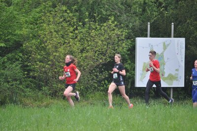 Foto des Albums: LM Berlin 5 km 06.05.2023