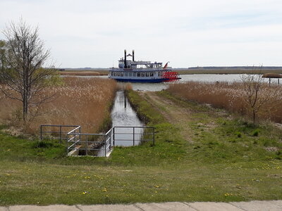 Foto des Albums: Wanderwoche in der Region Fischland-Darß-Zingst (16.05.2023)