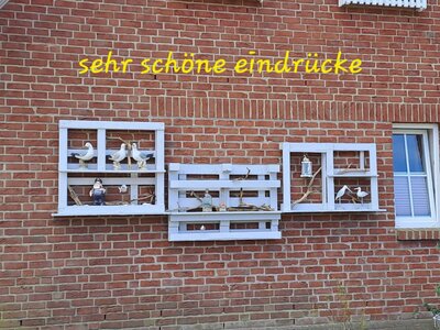 Foto des Albums: Wanderwoche in der Region Fischland-Darß-Zingst (16.05.2023)